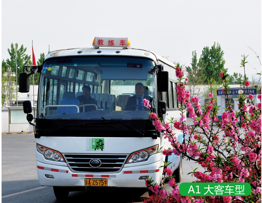 大客車駕照A1本 大客車駕照A1本