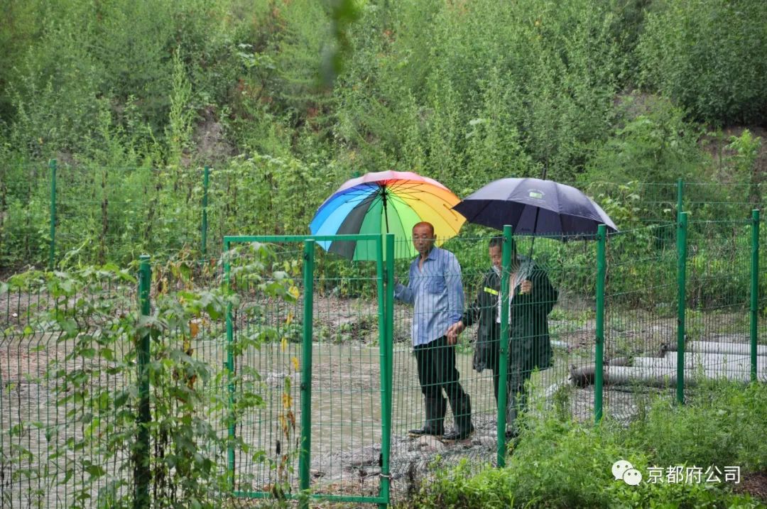 京都府駕校 京都府駕校