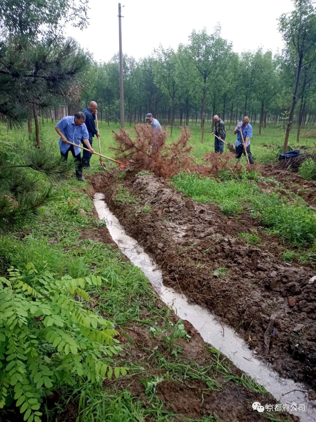 京都府駕校 京都府駕校