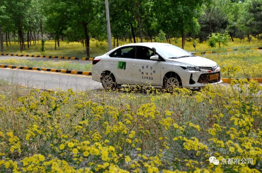 京都府駕校 京都府駕校